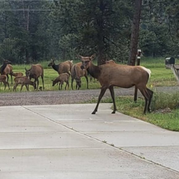 Meet your Posher, Jen - Picture 2 of 4